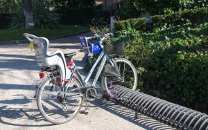 biciclette al bioparco roma